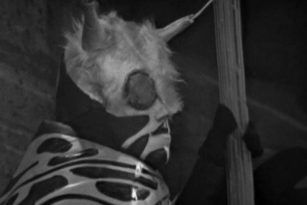 The Menoptra: Hrhoonda