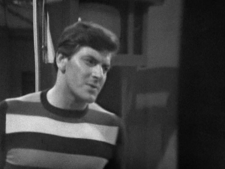 Steven Taylor Played by: Peter Purves in The Celestial Toymaker